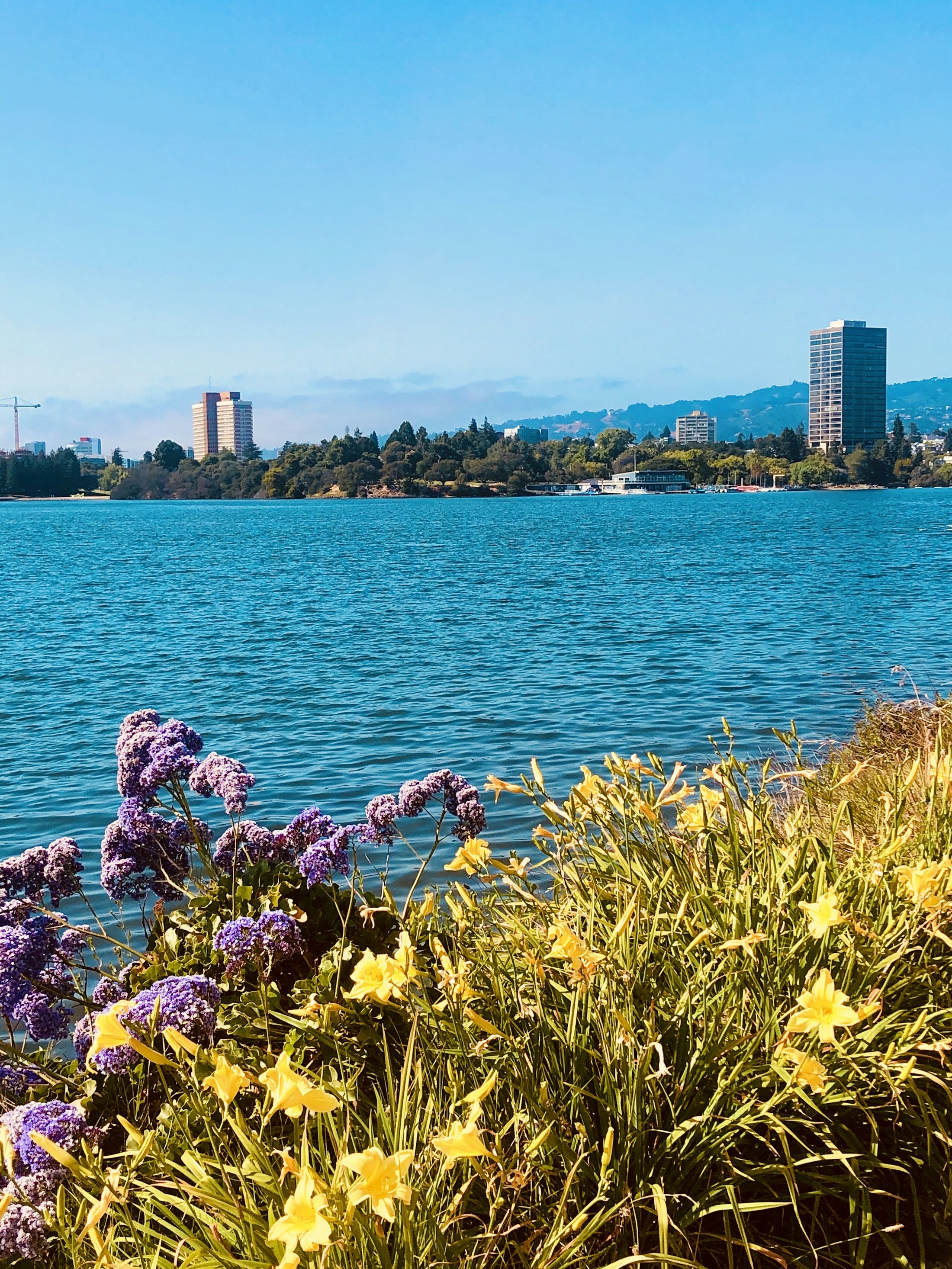 Brunch by Lake Merritt